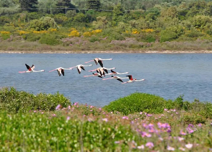 Casa Solento בית נופש