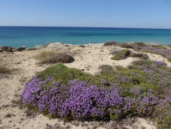 Casa Solento * מארוג'ו