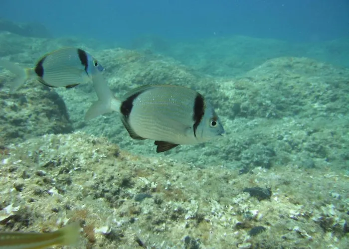 בית נופש Casa Solento