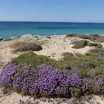 Casa Solento * Campomarino (Taranto)