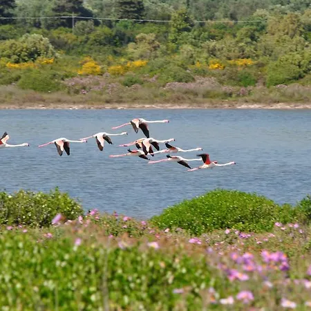 Casa Solento بيت للعطل