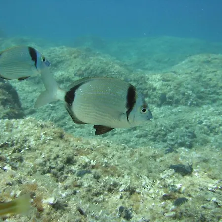 Сasa de vacaciones Casa Solento